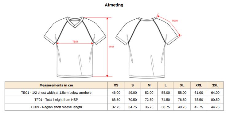 T-shirt heren V-hals - 100% polyester